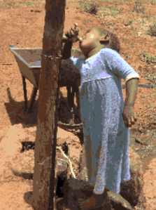 A thirsty Maasai girl.